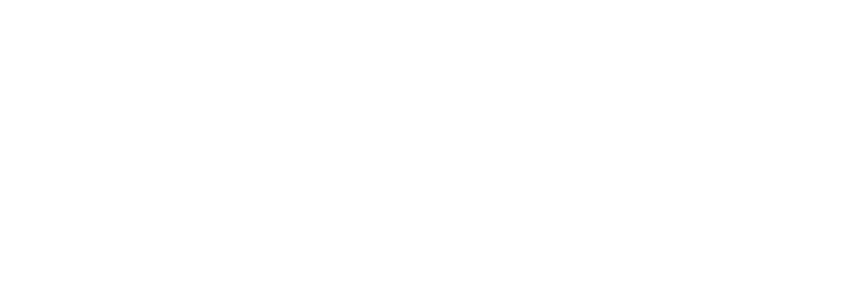 Capital One Logo